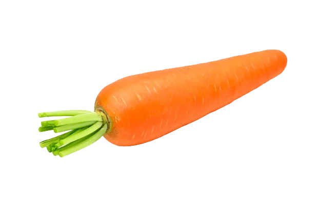 carrot fresh fruit